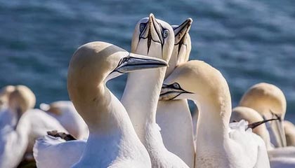 星空.综合体育：点亮夜空的全民健身新纪元